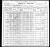 1900 Census
Jackson Parish, Louisiana
Nicholas Lewis Zeigler